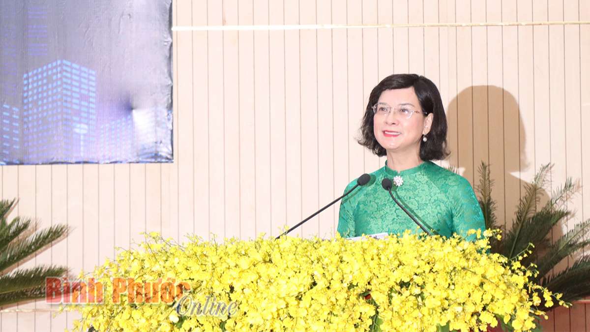 Ủy viên Ban Thường vụ Tỉnh ủy, Phó chủ tịch UBND tỉnh Trần Tuyết Minh phát biểu trao đổi tại buổi họp mặt